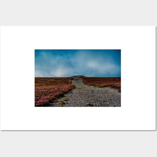 Looking up Knocknarea Posters and Art